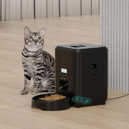 Repas Minuté